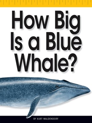 cover image of How Big Is a Blue Whale?